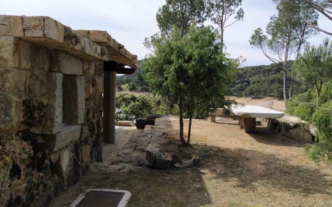 Desbroce y limpieza de fincas  foto 4