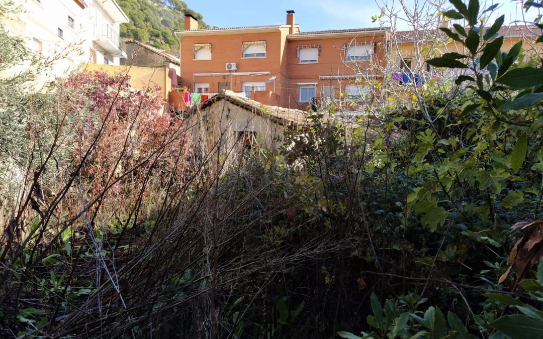 Desbroce y limpieza de fincas  foto 5