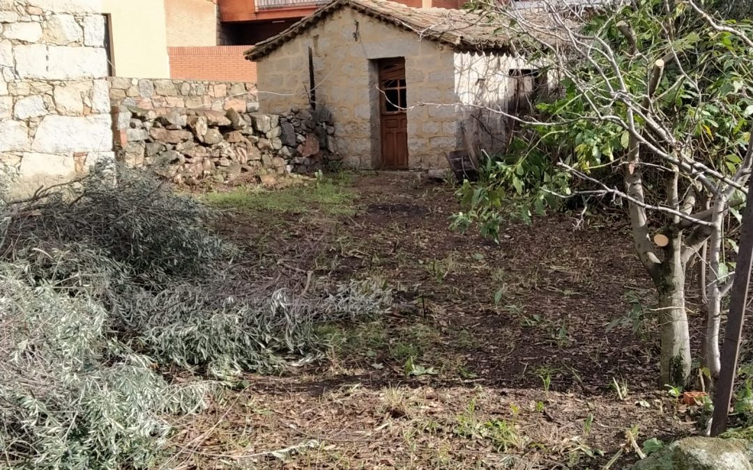 Desbroce y limpieza de fincas  foto 8