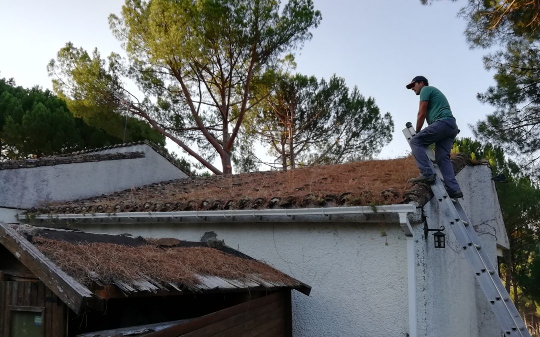 Limpieza de tejado en jardín