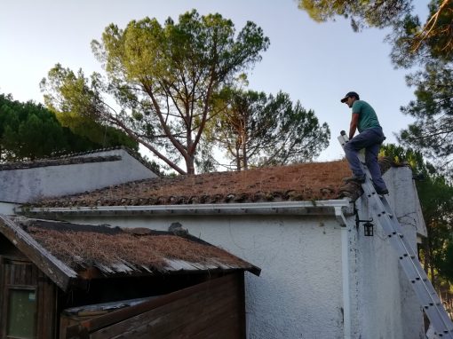 Limpieza de tejado en jardín